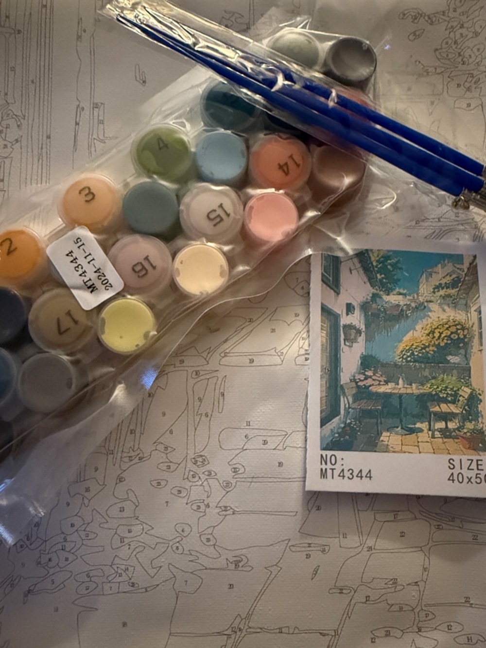 Paint-By-Numbers Kit with Multi-Color Paint Paints and Brushes